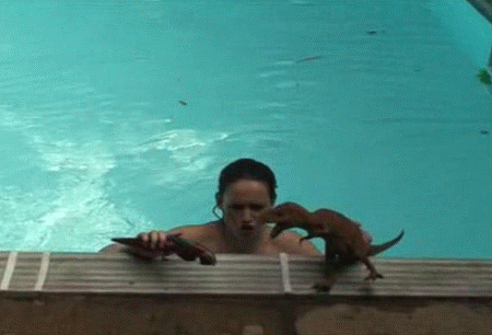 random-photos-221-17.gif Random Photos 221 17