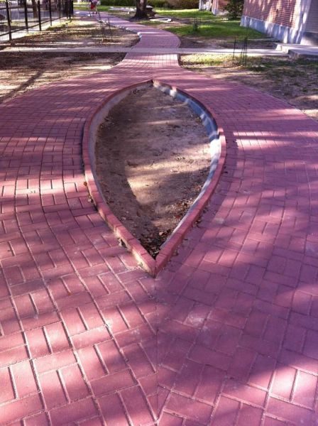 Random Photos 310
