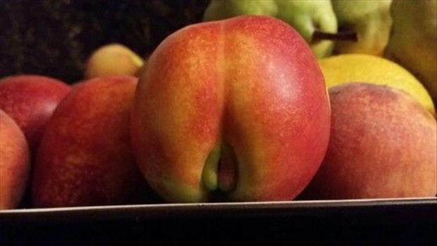 Random Photos 343