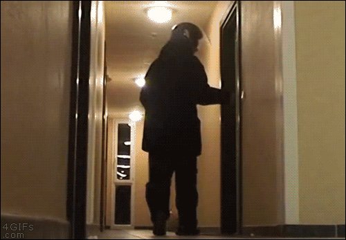 random-photos-708-07.gif Random Photos 708 07