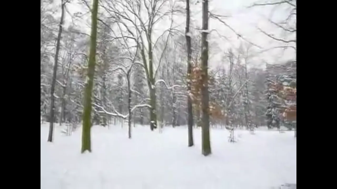 Ashley Bulgari’s Snow Flash