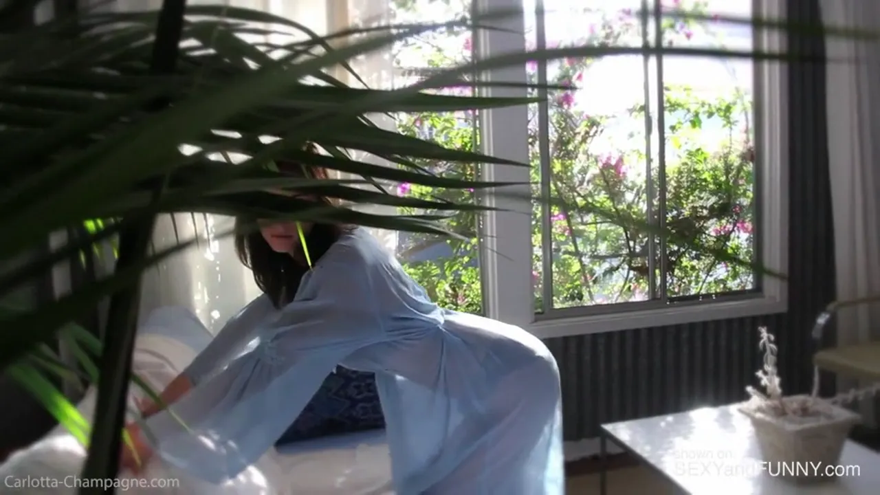 Carlotta Champagne Strips by a Window