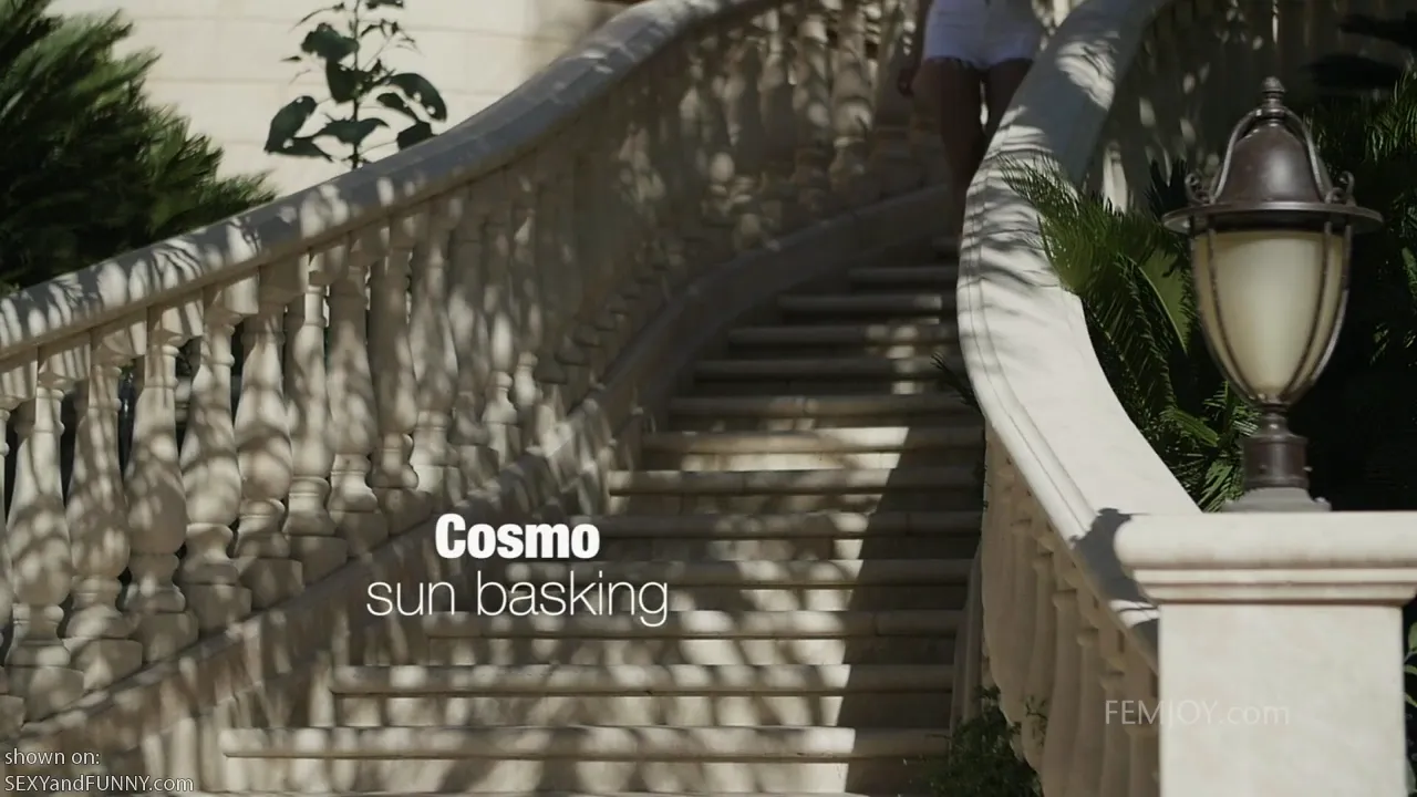 Cosmo on Some Impressive Stairs