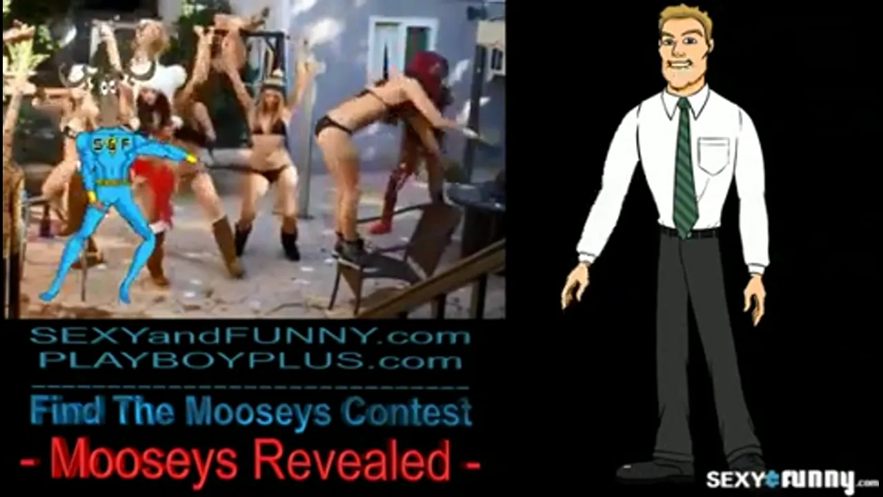 Count the Mooseys Contest Solution!