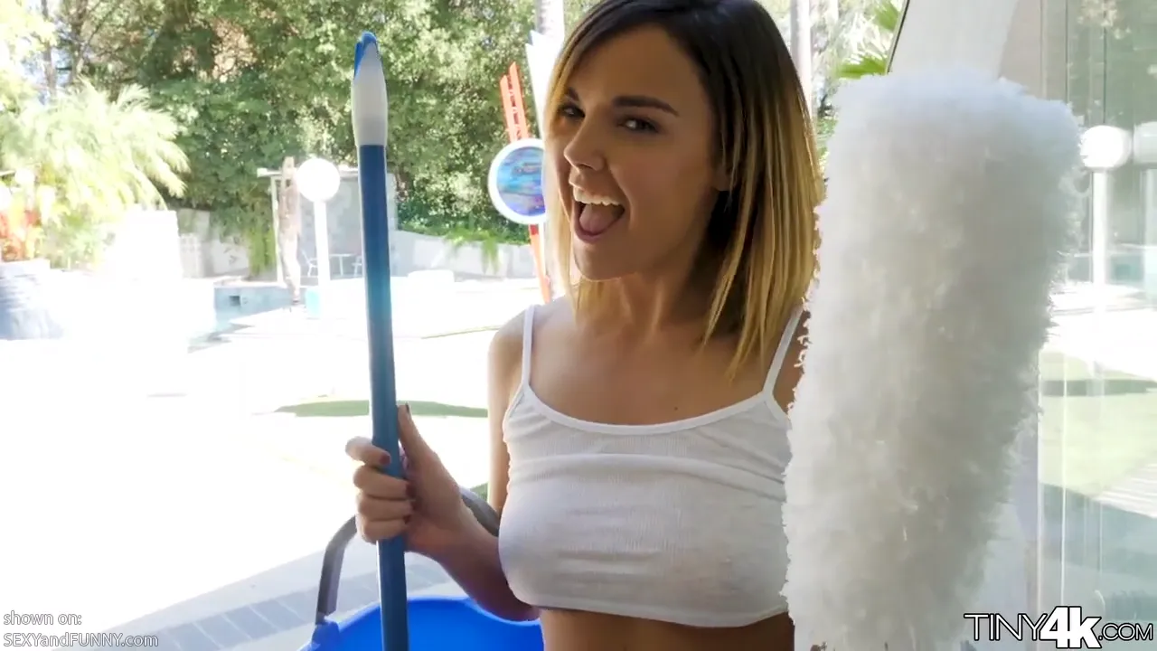Dillion with a Super-Hot Cleaning Job