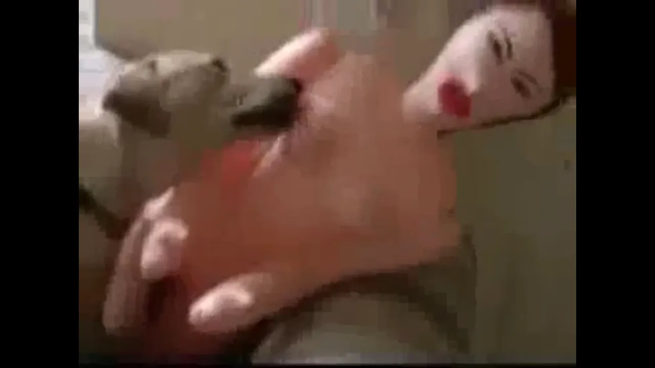 Dog vs Blowup Doll