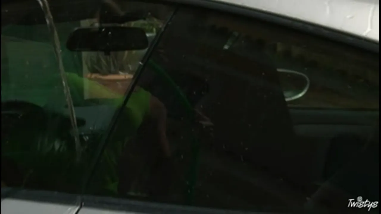 Henessy Takes it All Off While Washing Your Car