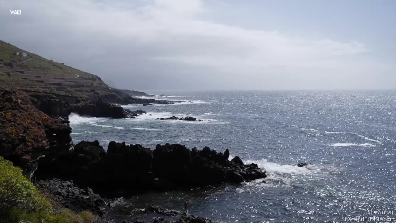 Ocean Views with Irene
