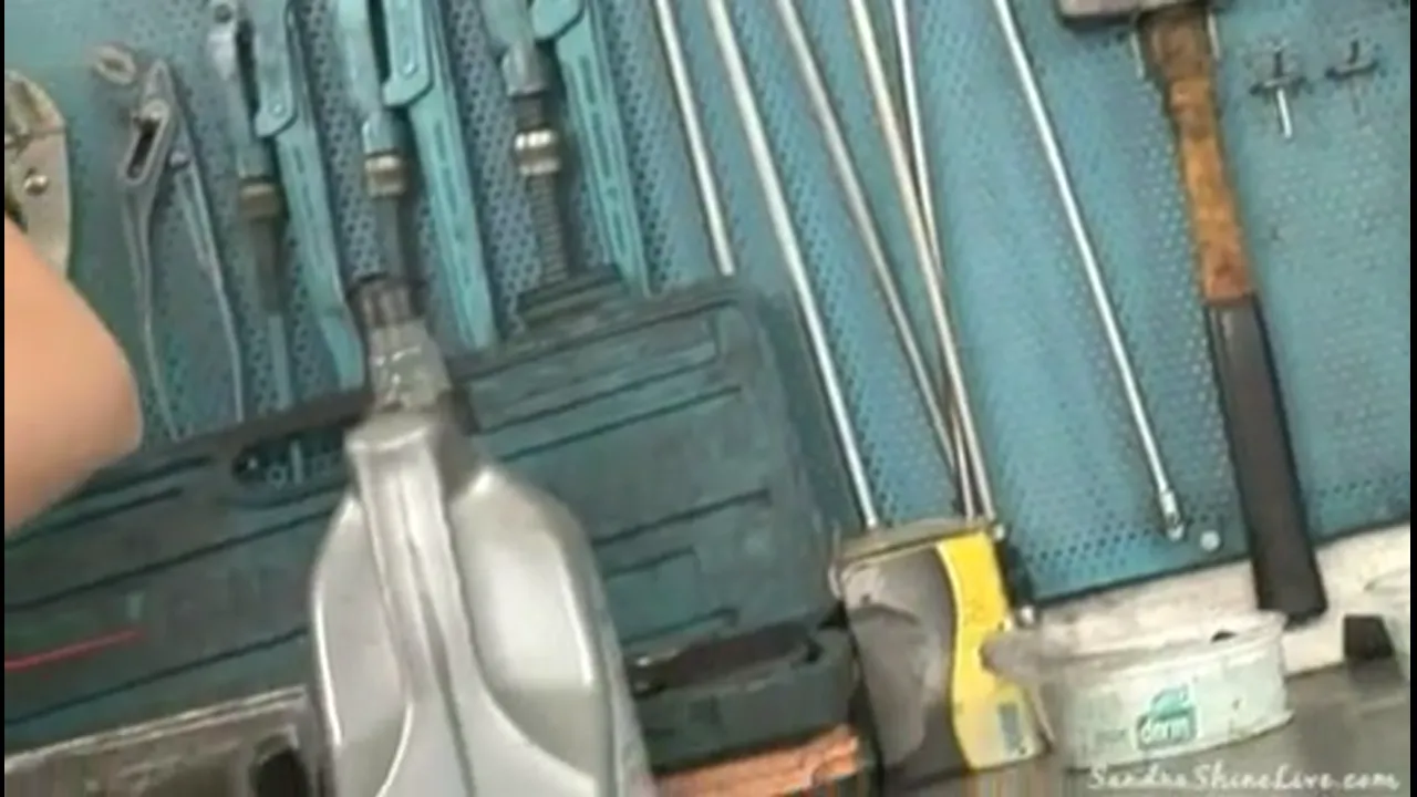 Sandra Shine is Your Repair Girl