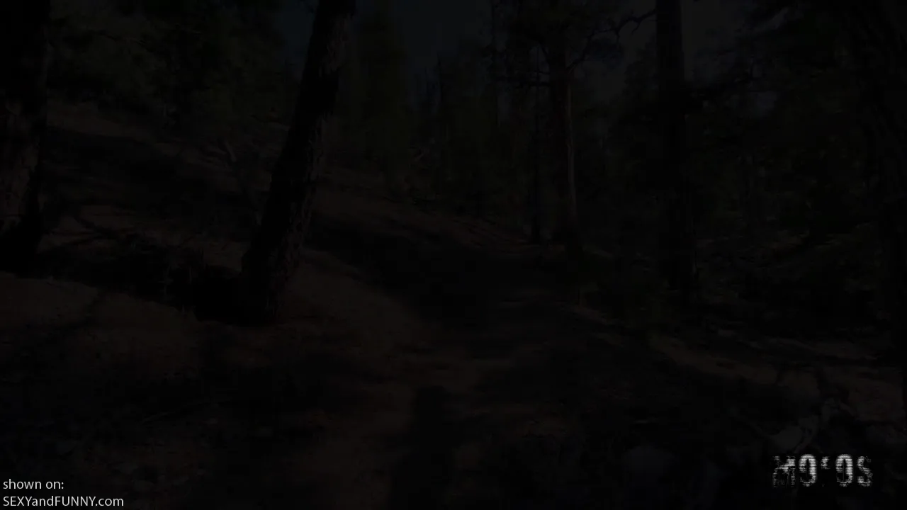 Spying on Molly in the Woods