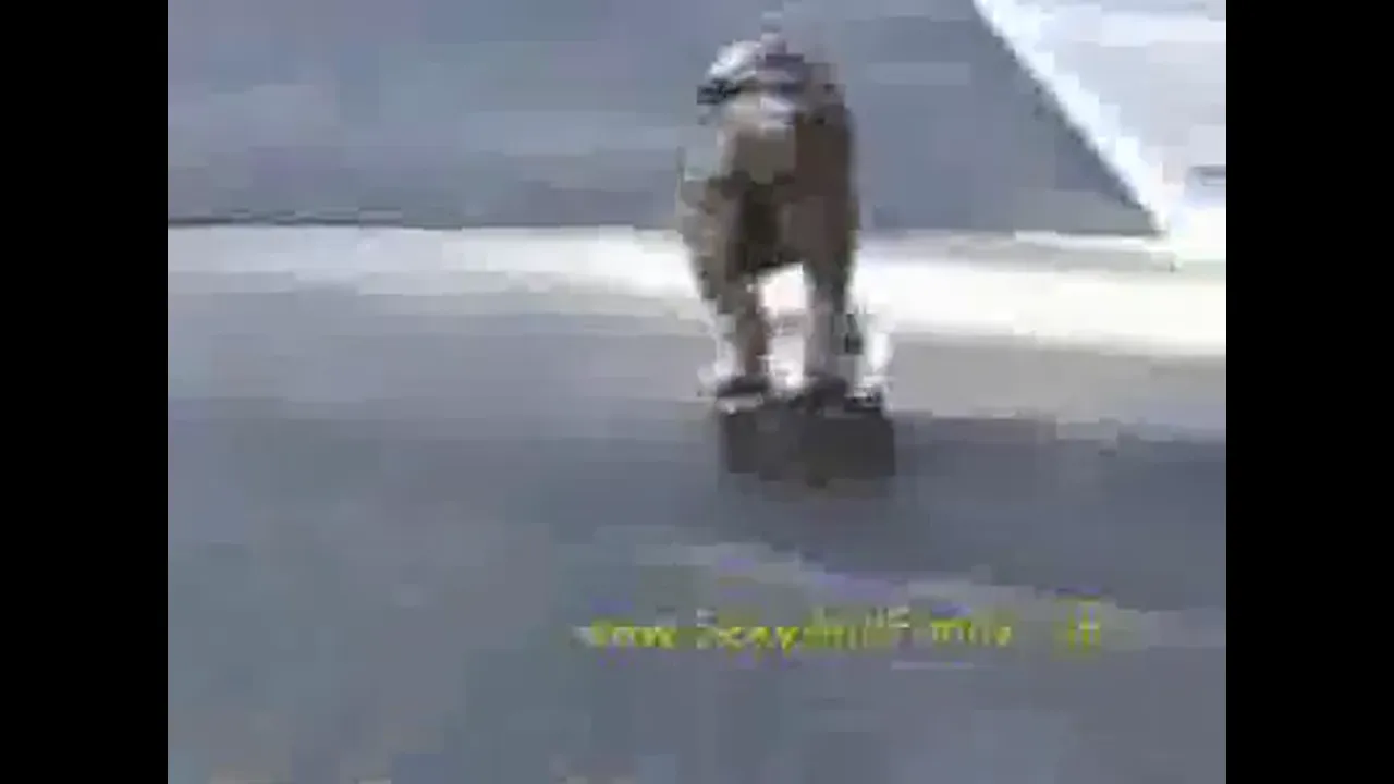 The Funny Compilation