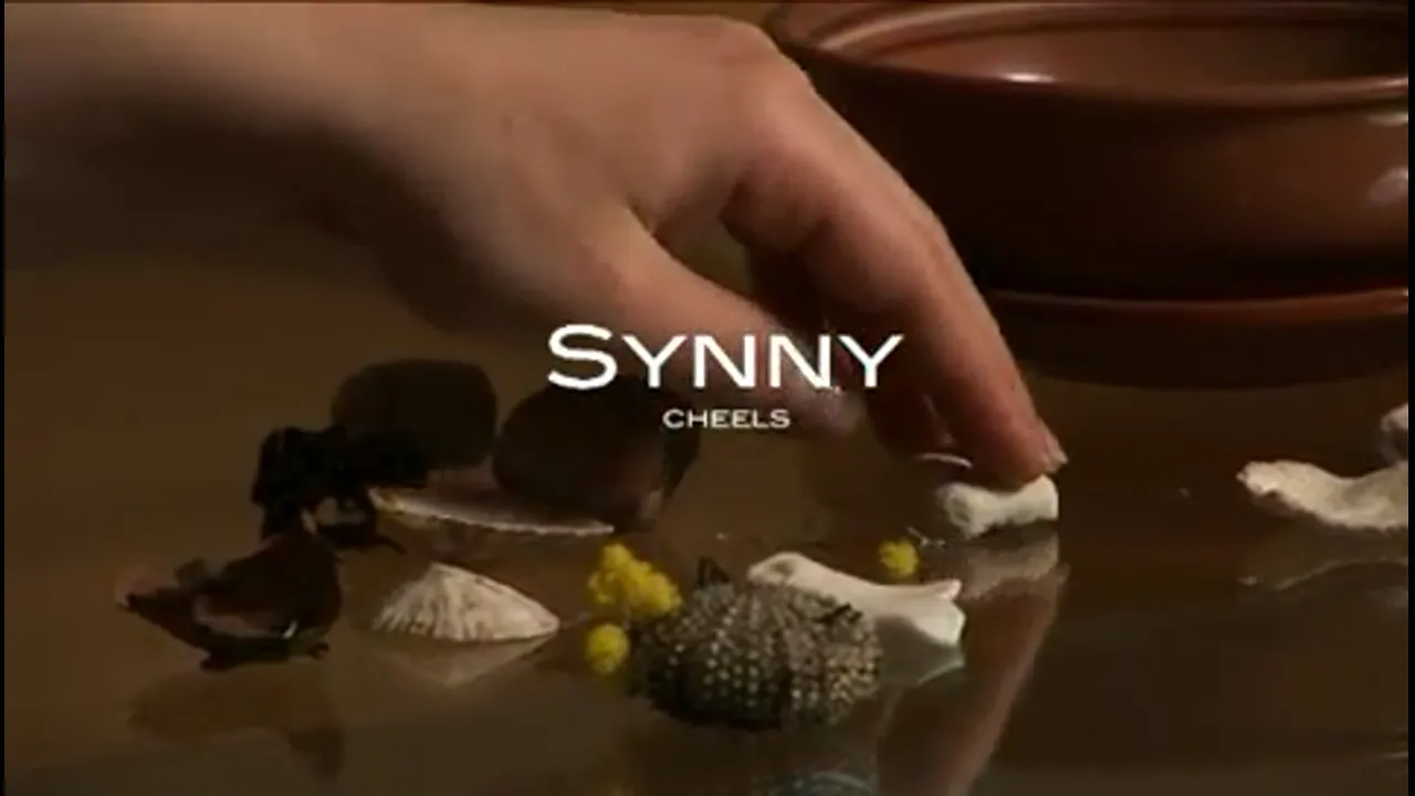 Ukranian Synny Strips on the Couch