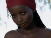 Shasta Wonder